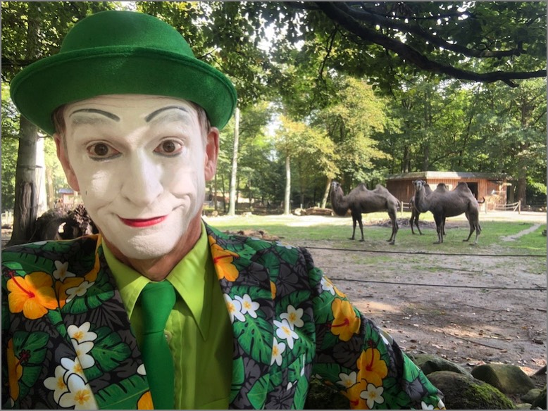 Stacks Image 1716488